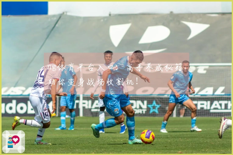 ng体育平台入口：高手养成秘籍，助你变身战场收割机！