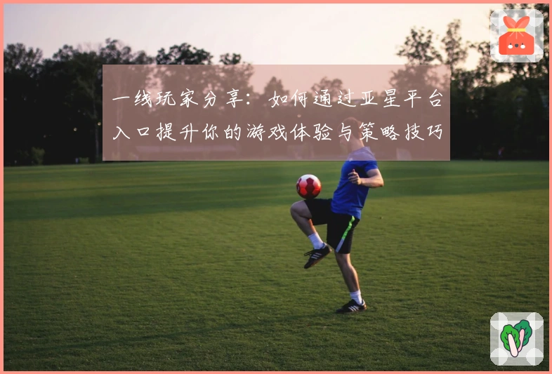 一线玩家分享：如何通过亚星平台入口提升你的游戏体验与策略技巧